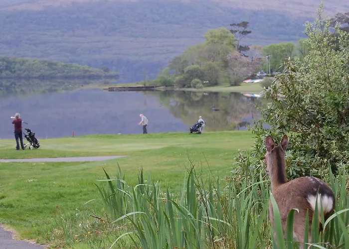 Bed & Breakfast Crystal Springs 3*