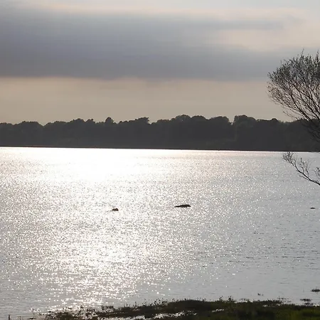 Bed and Breakfast Crystal Springs 3*