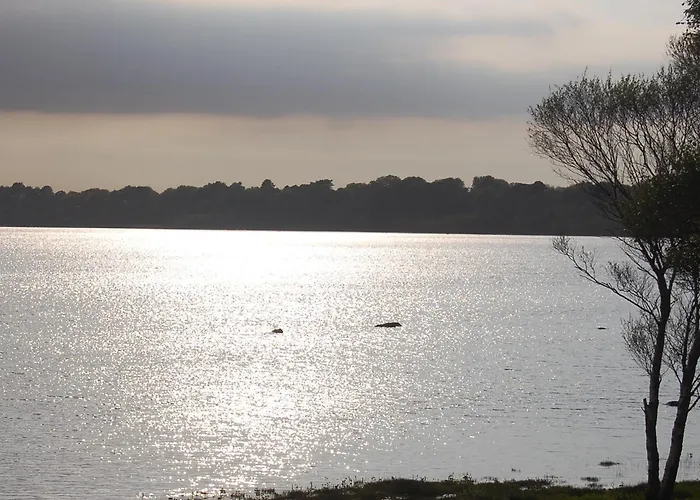 Bed & Breakfast Crystal Springs 3*